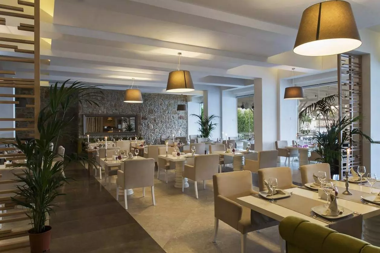 VOYAGE_SHABAVIZ (9).jpg